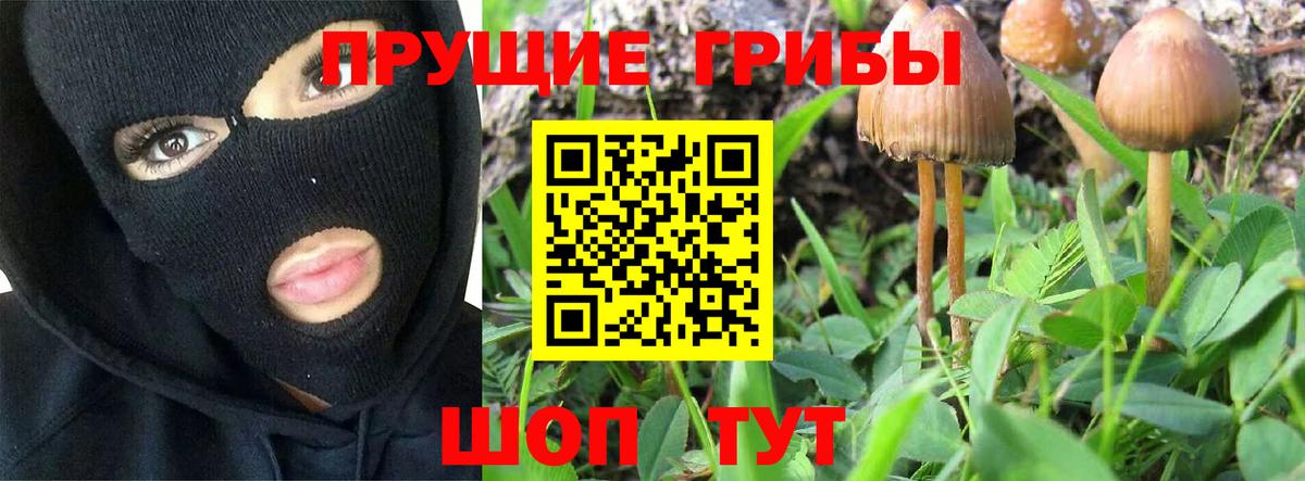 Псилоцибиновые грибы мухоморы  купить наркоту  Отрадный  Вход с VPN  Галлюциногенные грибы ЛСД 