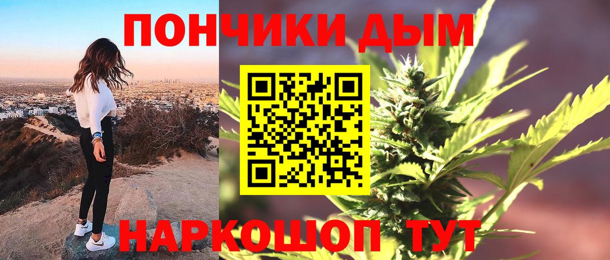 Бошки марихуана план  Канабис OG Kush  Шишки марихуана тримм  Вход с VPN  Марихуана сатива  Отрадный 